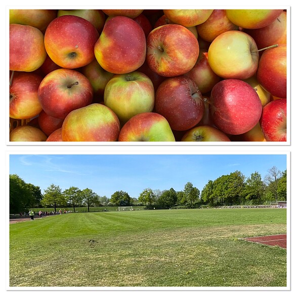 auf dem Foto sind Äpfel zu sehen und ein Blick über den grünen Rasen der Bezirkssportanlage Hemelingen mit umlaufender Tartanbahn